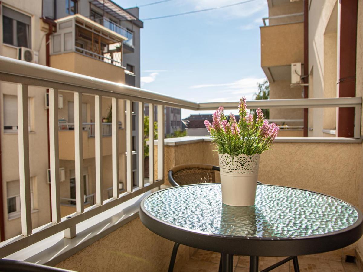 Harizma Apartmani Kragujevac Exteriér fotografie